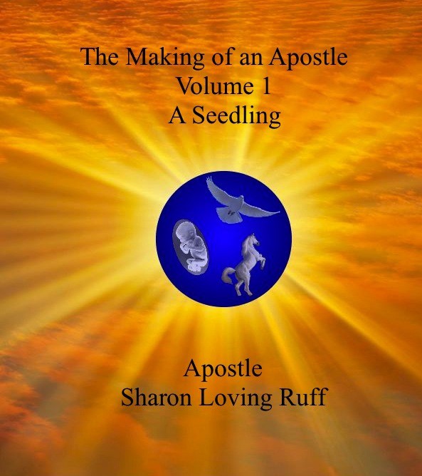 The Making of an Apostle, Volume 1, 